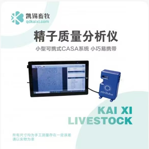 ���ӷ�����